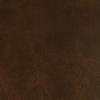 Chestnut Chestnut